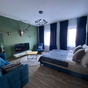 3 Zimmer Apartment Mitten In Altstadt - Koblenz